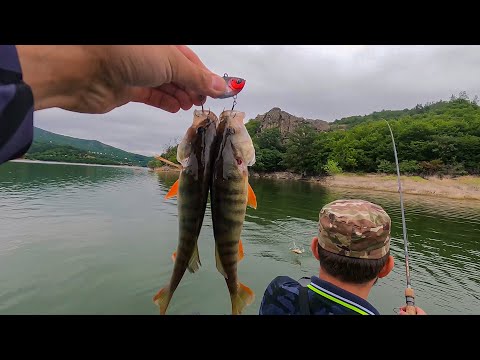 გიჟური თევზაობა ალგეთზე ნავიდან სპინინგით 🎣 ძალიან აკტიურ ქორჭილაზე დაჭერით რო დაიღლები ეგ მომენტია.